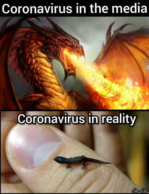 Coronavirus in media vs reality