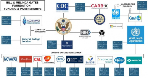 Bill Gates Foundation United States funding and partnerships vaccines