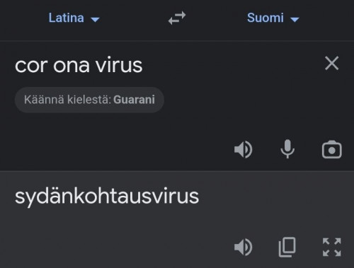 sydankohtausvirus