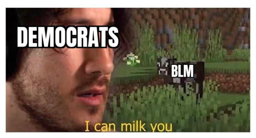 How Democrats see BLM