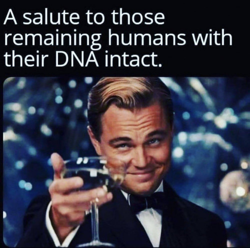 salute