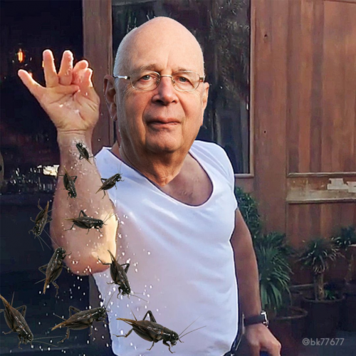 Klaus Schwab insects