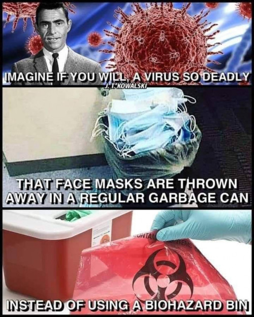 imagine virus so deadly masks