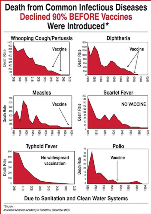 before vaxx