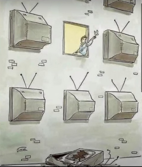 TV