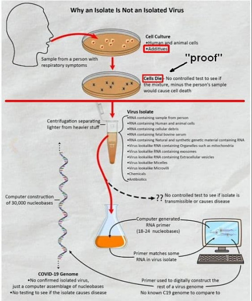 virus isolation5