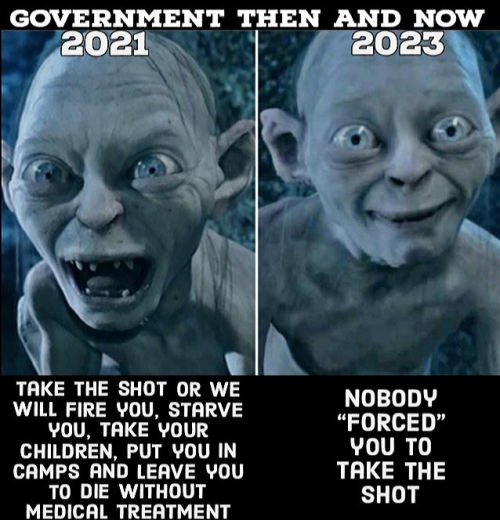 government