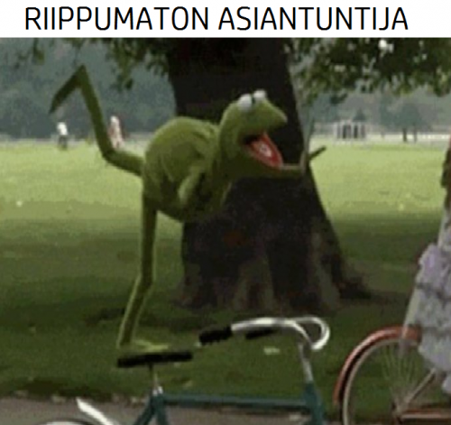 RIIPPUMATON ASIANTUNTIJA