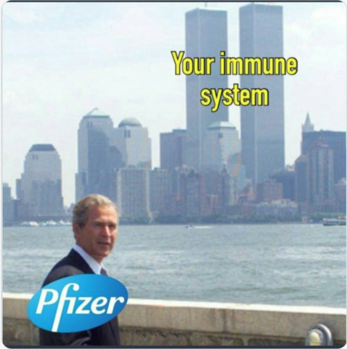 immune system wtc