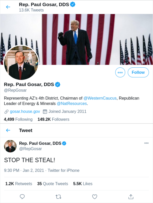 Rep. Paul Gosar Stop the Steal energy and minerals